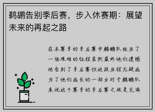 鹈鹕告别季后赛，步入休赛期：展望未来的再起之路