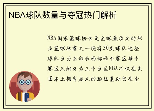 NBA球队数量与夺冠热门解析